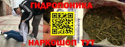 ГАЛЛЮЦИНОГЕННЫЕ ГРИБЫ Северобайкальск
