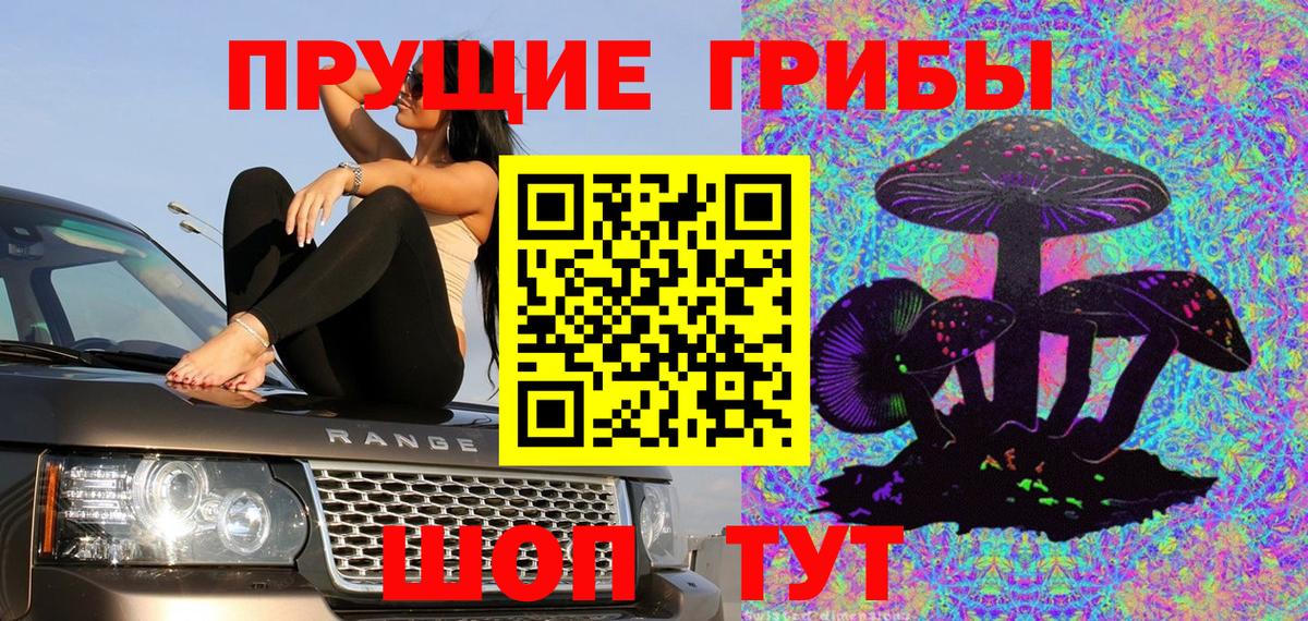 Галлюциногенные грибы прущие грибы  Псилоцибиновые грибы Cubensis  продажа наркотиков  Прохладный  Вход с VPN 